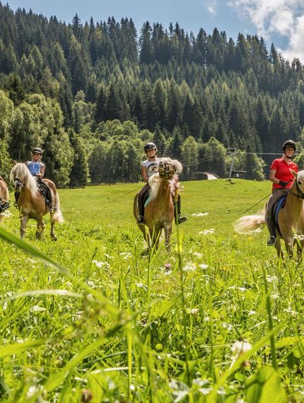 Reiten in Kärnten und Salzburger Land