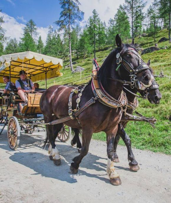 Pferdekutschenfahrt zur Pritzhütte im Gontal