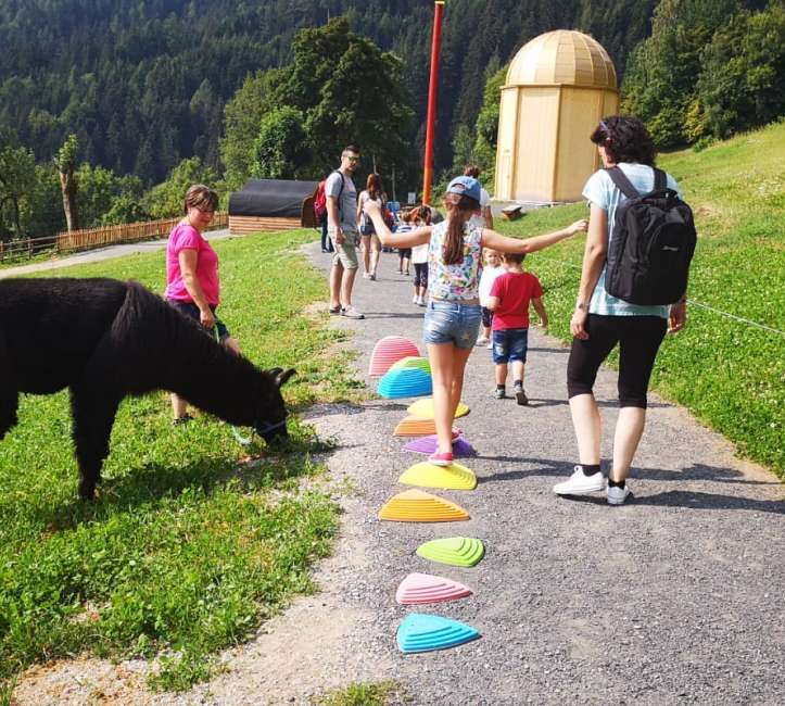 Kinder beim Spielen mit einem Llama