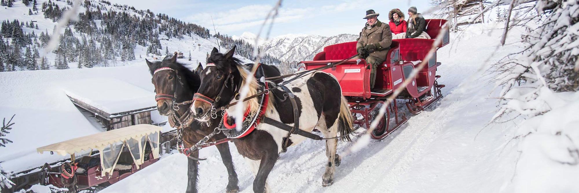 Horse-drawn sleigh ride in Gontal valley