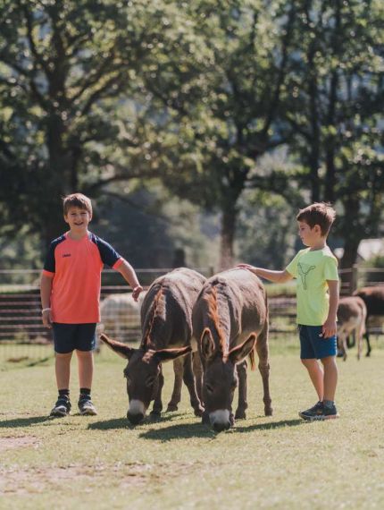 Kinder mit Eseln im Eselpark Maltatal