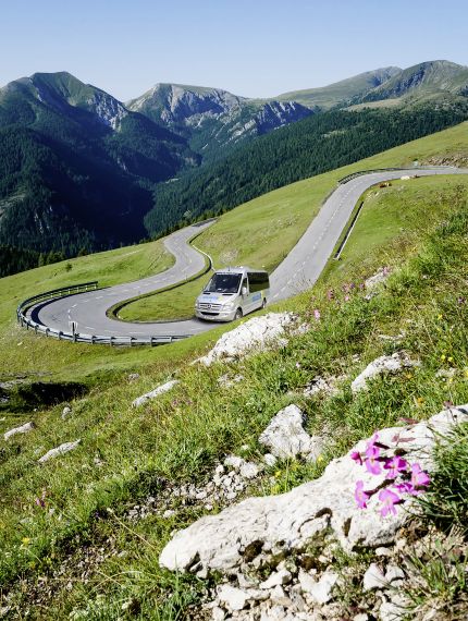 Ein weißer Bus fährt die kurvige Nockalmstraße entlang, umgeben von grünen Bergen und Blumen